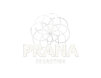 pranaeducation.com